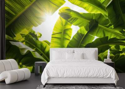 A close-up photograph of green banana leaves against a bright sky, dramatic lighting, high contrast, taken from below, focusing on the texture and veins of the leaves Wall mural